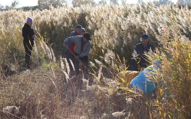 Свыше 100 тысяч жителей области Абай приняли участие в акции «Таза Қазақстан»