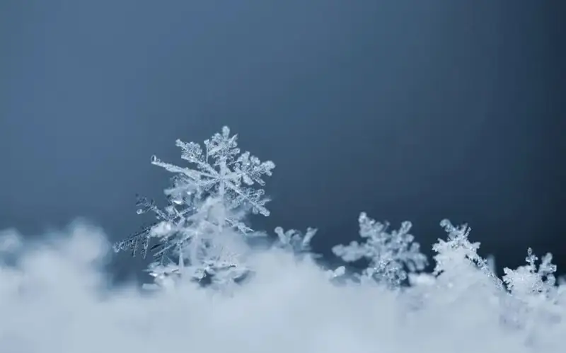 ground frosts