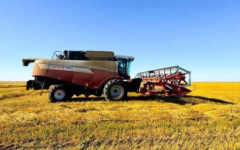 уборка урожая, пшеница. АПК