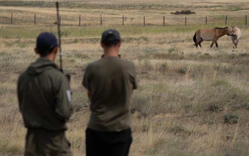 Prince William names Kazakhstan's “Altyn Dala” initiative among Earthshot Prize 2024 finalists