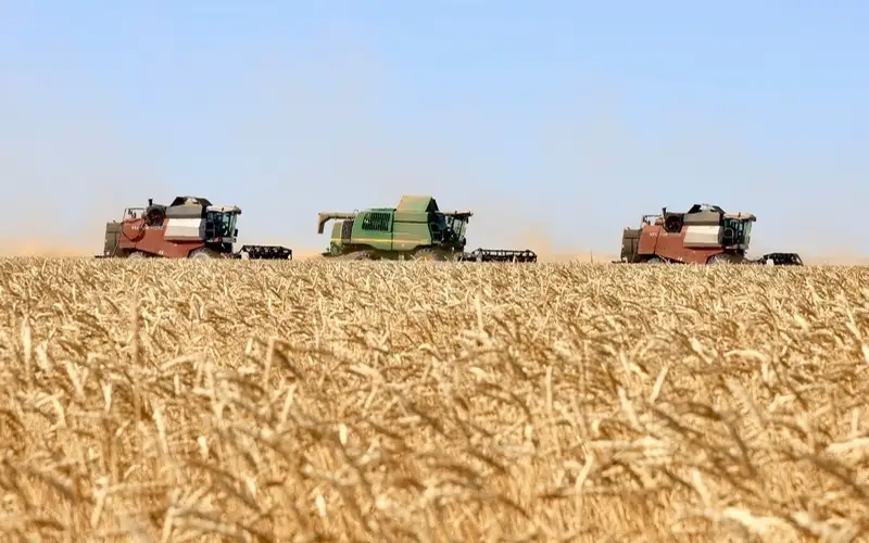 уборка урожая зерно