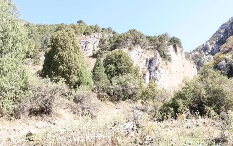 Unique burials in Turkistan region