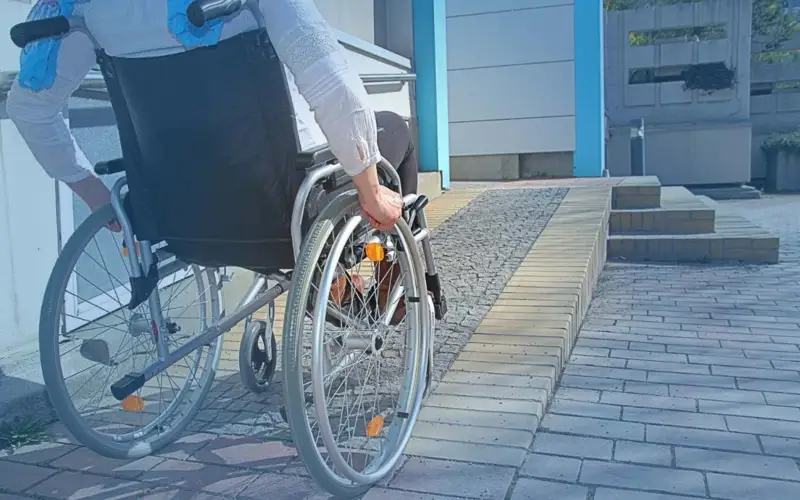 Múmkindigi shekteýli jandar