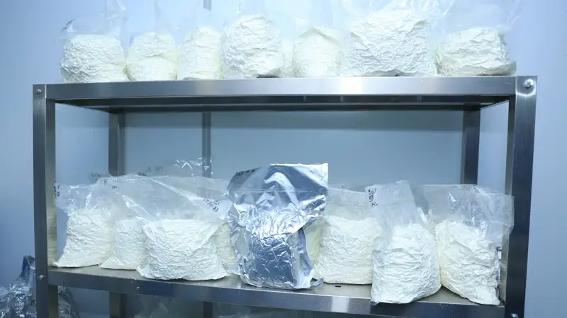 сухое кобылье молоко, Костанайская область