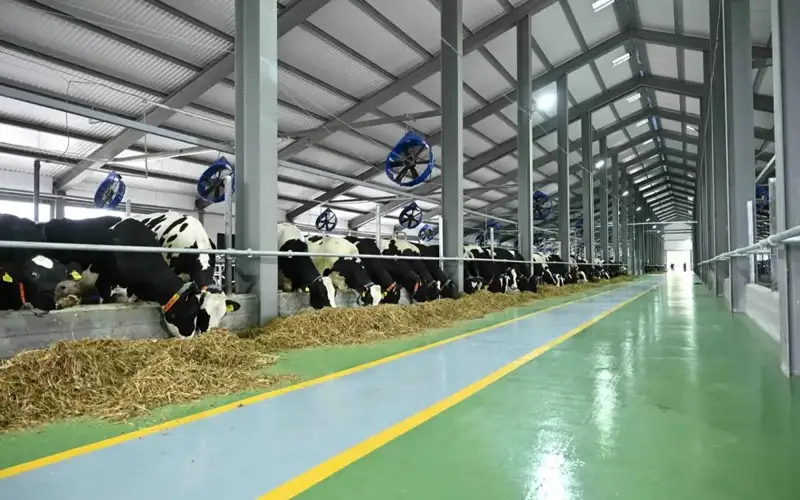 President Tokayev visits Borte Milka dairy farm in Turkistan region