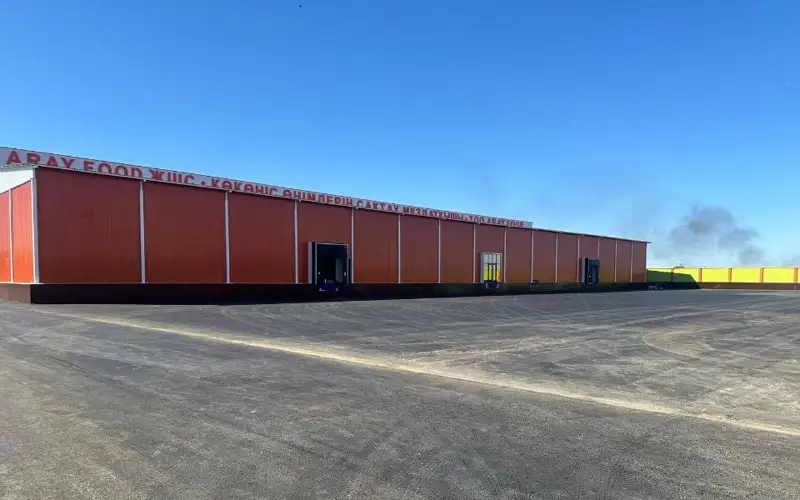 Kyzylorda region to build 4,000-ton capacity vegetable storehouse