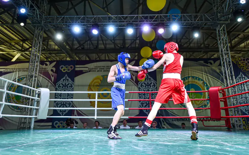 бокс, спорт