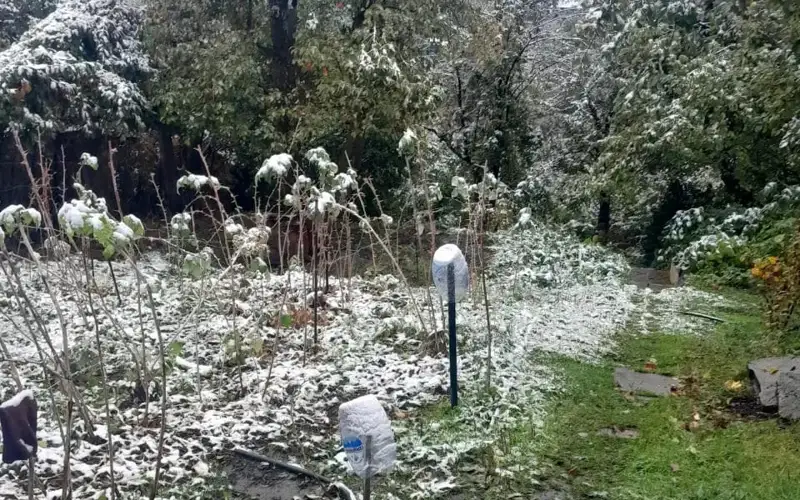 Фото: Саяжай тұрғыны