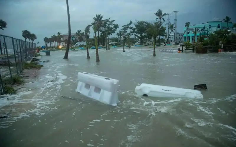 Фото: Andrew West/The News-Press/USA Today