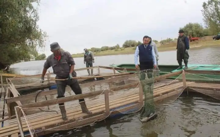 балық шаруашылығы