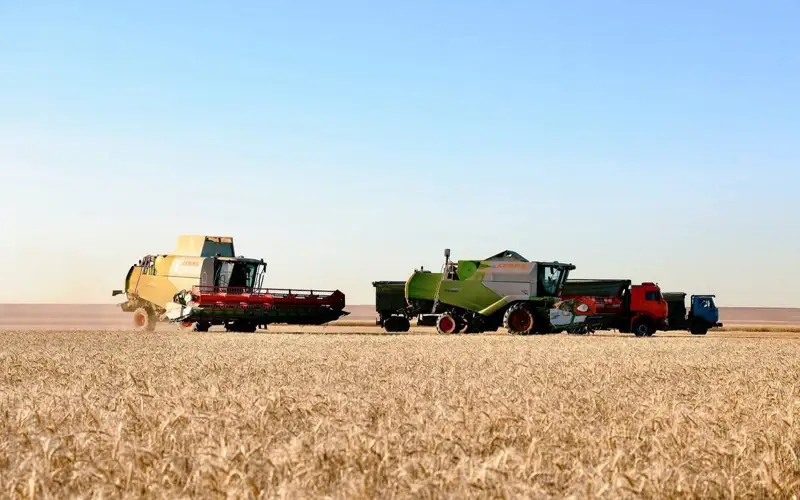 уборка урожая