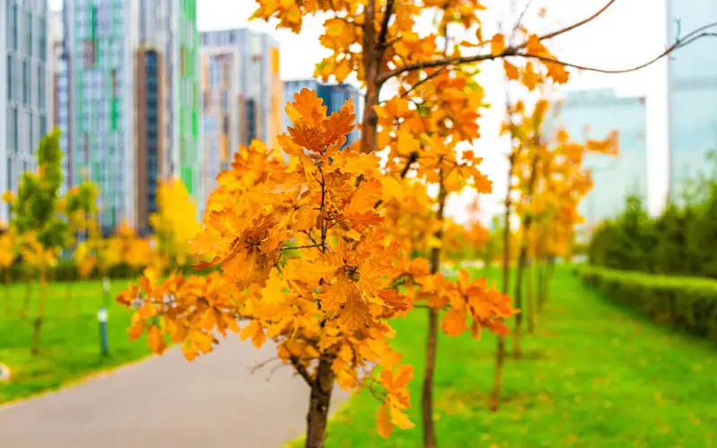 осень погода