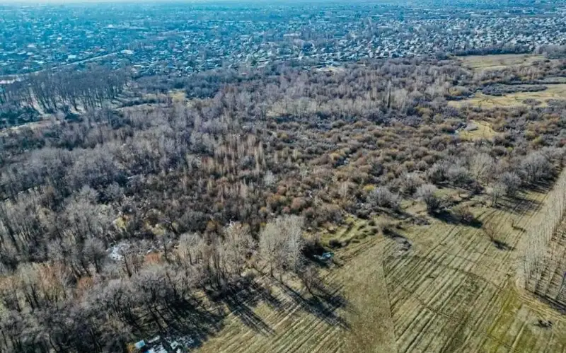 парковая зона в Талдыкоргане