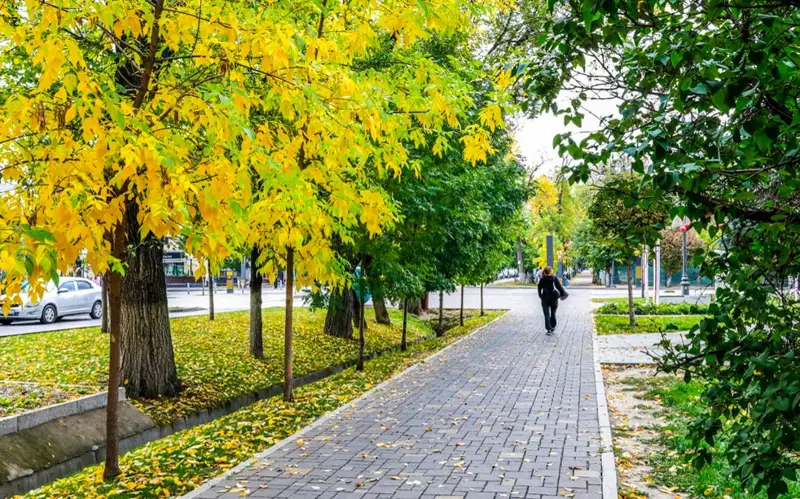 осень погода 