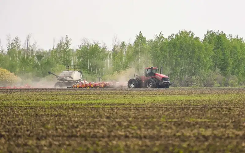 сельское хозяйство