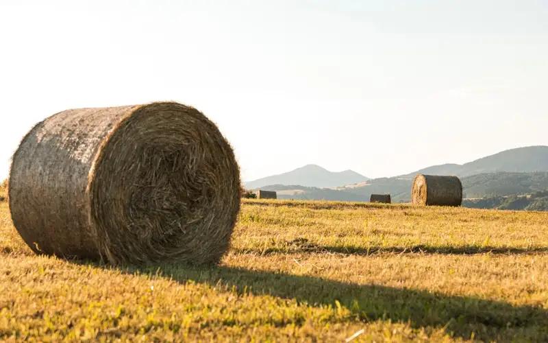  заготовка кормов