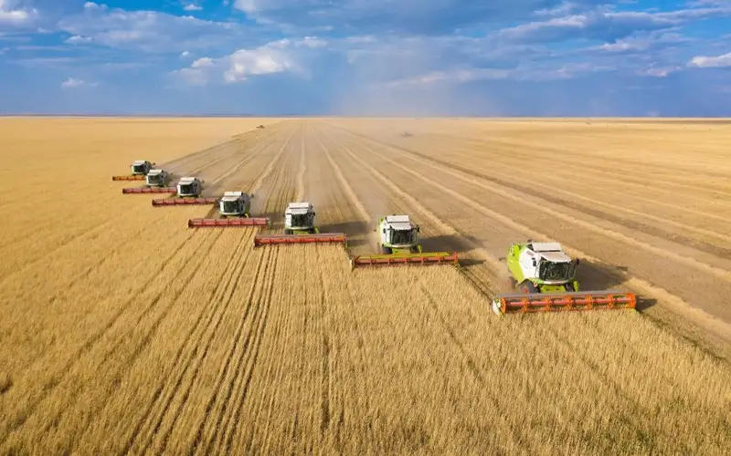 Ақмола облысы