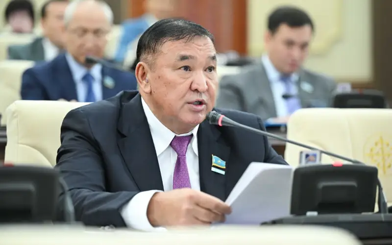 «Халық тезек теріп кетті»: Депутат Склярға газ тапшылығы туралы сауал жолдады