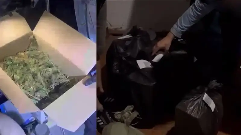 наркотики