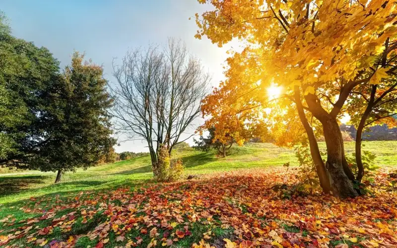 Kazakhstan to enjoy fair weather this weekend