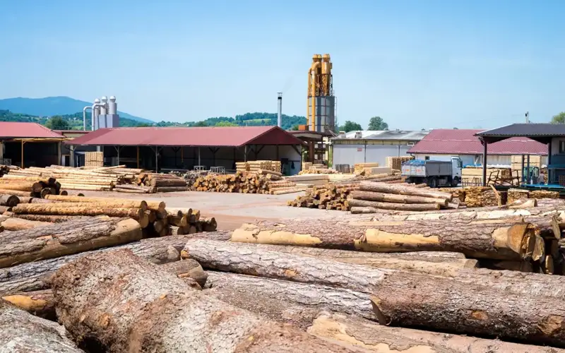 Еурокомиссия орманды кесуге қарсы заңның енгізілуін кейінге қалдырды 