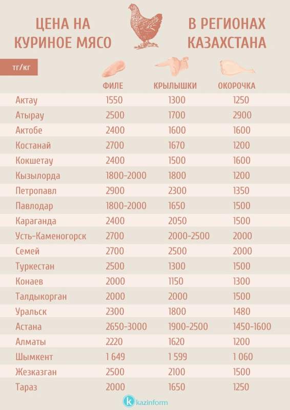 Инфографика Инфографика