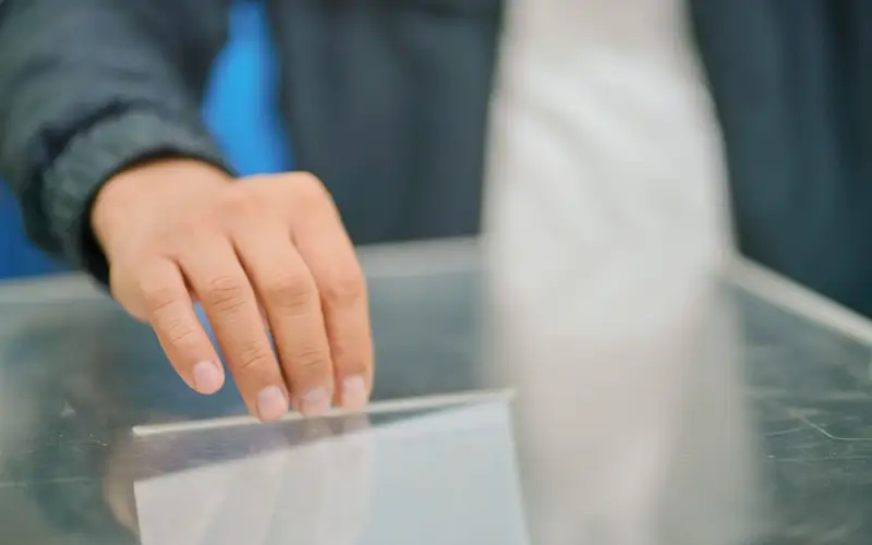 референдум, выборы