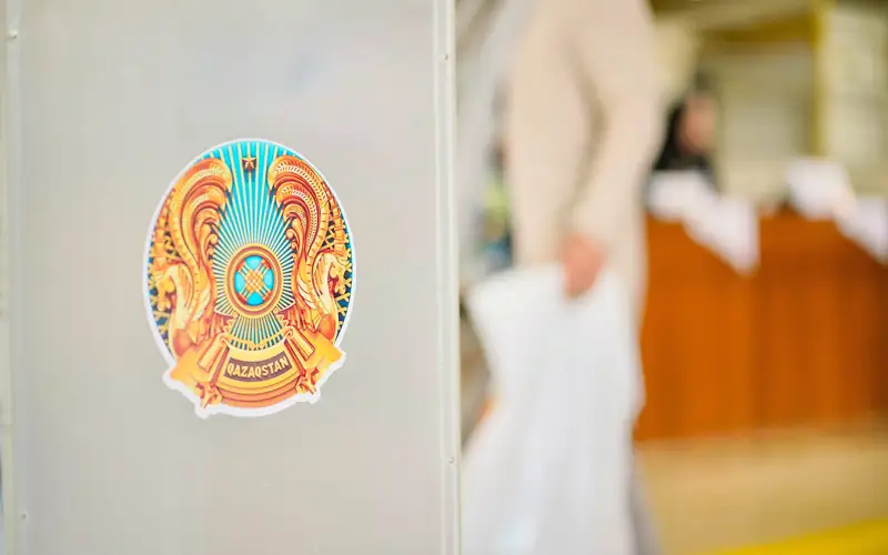 референдум, выборы