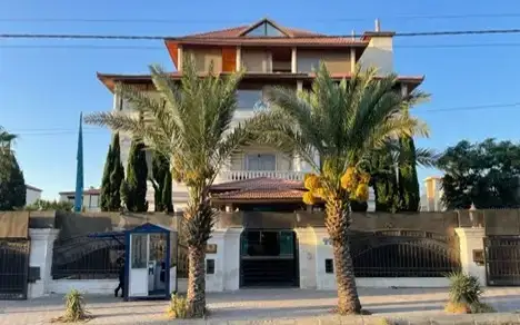 Referendým