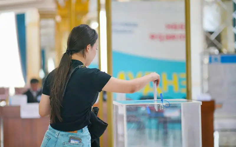 референдум, выборы