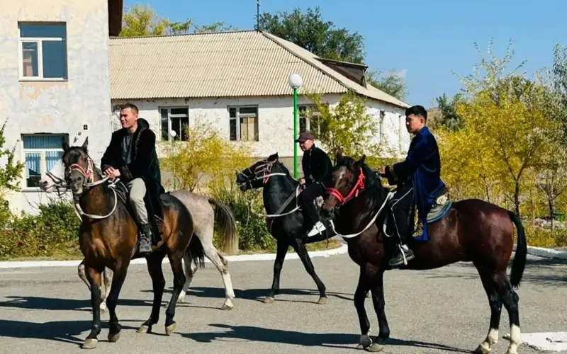 kókparshylar