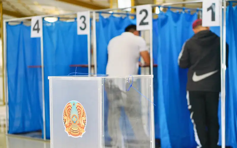 референдум, выборы