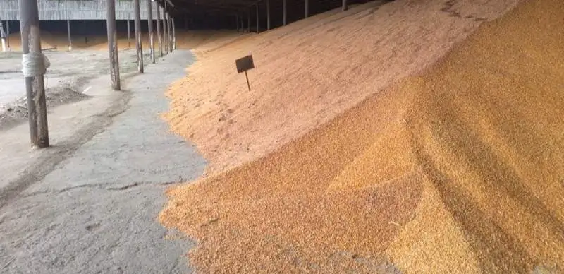 правительство