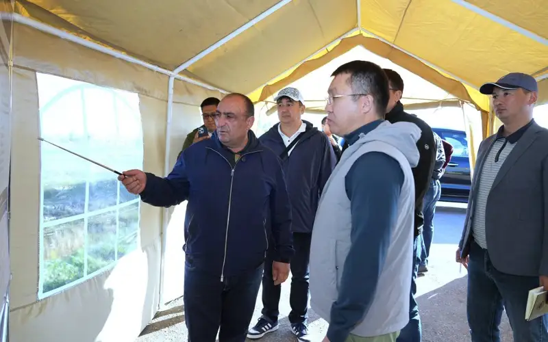 Marat Qarabaev