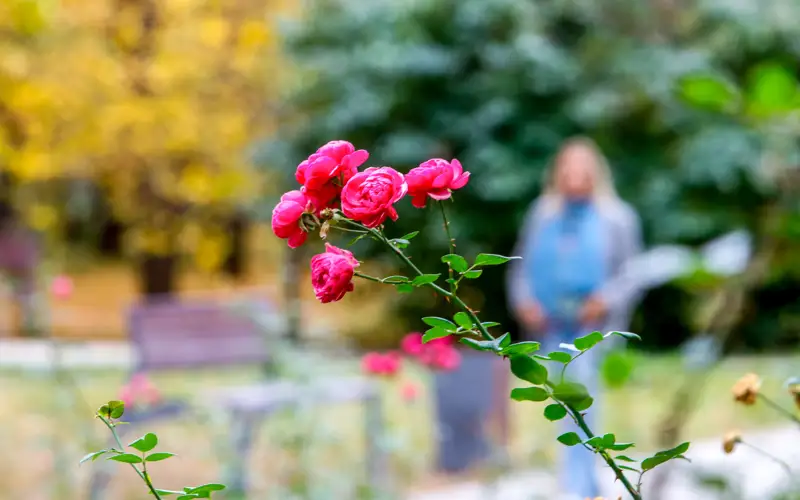Осень в Алматы