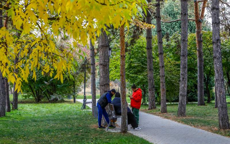 Almaty altyn túske boıaldy – fotoreportaj