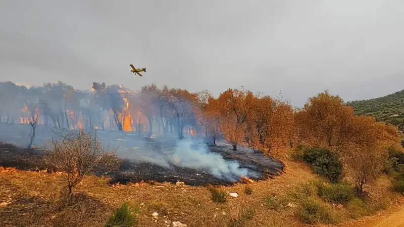 Jordan participates in extinguishing fires in Greece