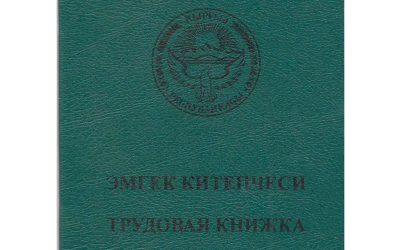 На электронные трудовые книжки планируют перейти в Кыргызстане 