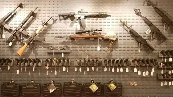 Firearms in the USA