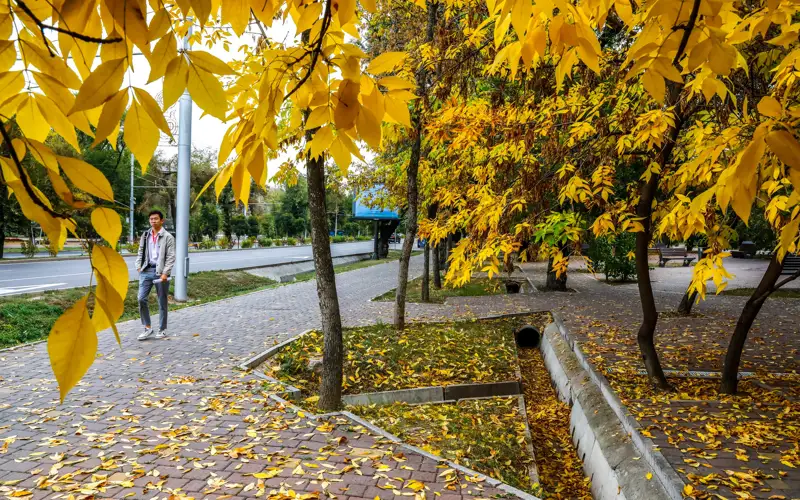 Алматы алтын түске боялды – фоторепортаж