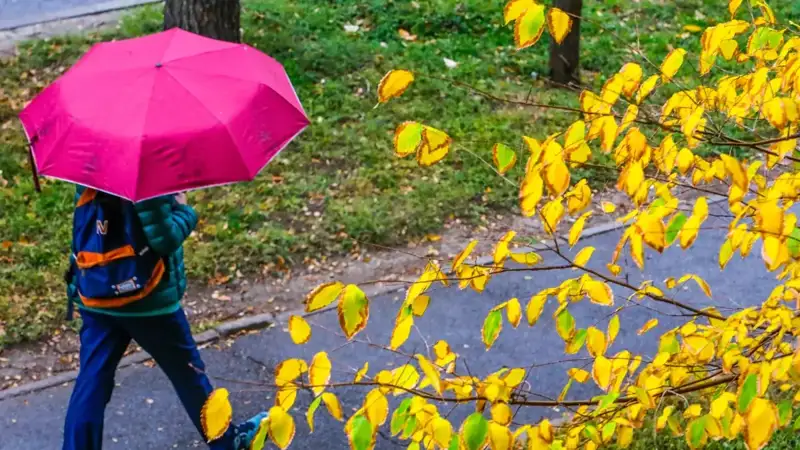 autumn