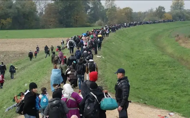 мигрантлар