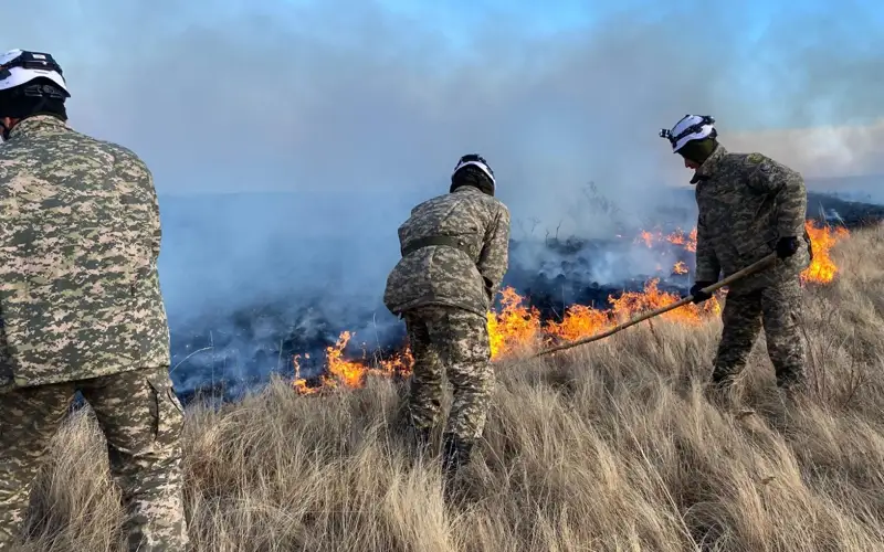 Пожар, тушение лесного пожара