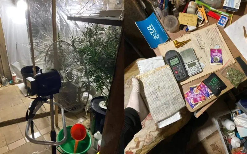 Фитолаборатория обнаружена в Костанае