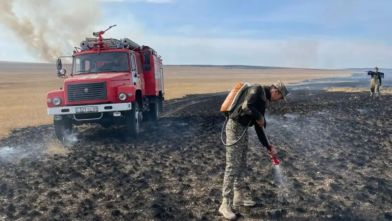 Пожар в Карагандинской области, тушение лесного пожара