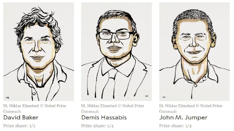 David Baker, Demis Hassabis, and John Jumper win 2024 Nobel Prize in chemistry 