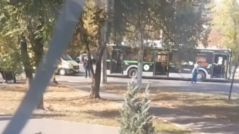 Автобус сбил ребенка на пешеходном переходе в Алматы 