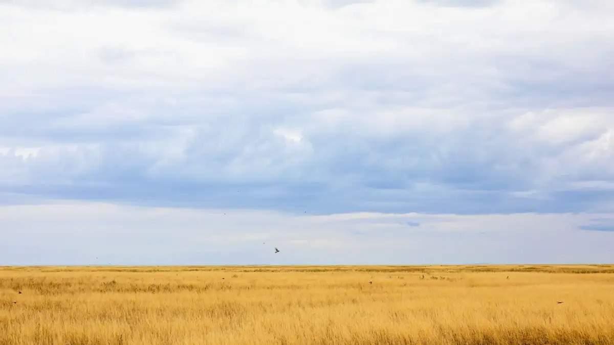 High fire threat is in effect in Kazakhstan
