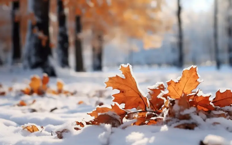 погода осень снег 