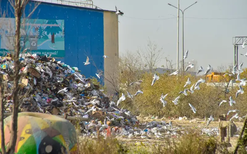 мусорный полигон